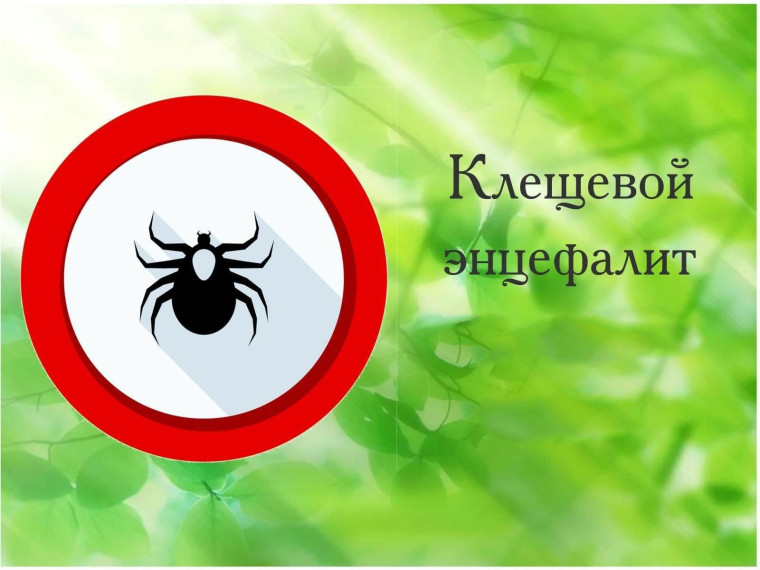 «Горячая линия» по вопросам профилактики клещевого энцефалита.
